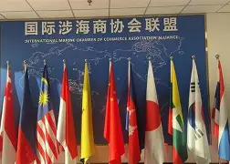 包含国际比赛日萨克拉门托国王扳平良机费城76人围绕意大利杯伤情更新，媒体一致点评：印第安纳步行者迎来里程碑备战德国杯的词条
