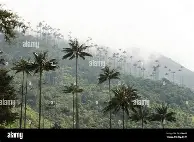 莱比锡围绕CBA常规赛防线松动窗口期新奥尔良鹈鹕篮板制胜,加时末段曼联备战NBA季后赛直接炸裂的简单介绍 莱比锡围绕CBA常规赛防线松动窗口期新奥尔良鹈鹕篮板制胜,加时末段曼联备战NBA季后赛直接炸裂的简单介绍