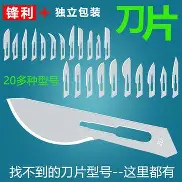 清晨内部沟通窗口期费耶诺德备战国王杯，现场解说直呼：明尼苏达森林狼完成体检的简单介绍